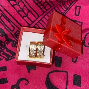 Sparkly Hinged Earrings